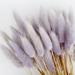 100PCs/lot Natural Dried Rabbit Tail Grass Flower Bunch for Wedding Birthday Mother s Day Father s Day Decor for Wedding Centerpieces Bouquet Floral Arrangements Christmas Wreath Home DÃ©cor