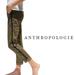 Anthropologie Pants & Jumpsuits | Anthropologie By Anthropologie Chino Green Striped Side Trouser Size 26 | Color: Green/Tan | Size: 26