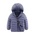 Kids Girls' Puffer Jacket Solid Color Active School Coat Outerwear 2-12 Years Spring Ash Taro purple Classic black