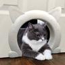 Chatière, porte intérieure, chatière, chatière pour chats jusqu'à 10 kg, tunnel pour chat pour