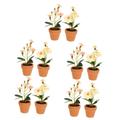 UPKOCH 10 Pcs Simulated Potted Plant Traffic Mirror Tiny Fake Greenery Decoration Miniature Flower Pot Toy Haunted House Kit Black Flameless Candles Cloth Flower Doll House Small Bonsai