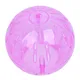 Yellow Blue Pink Exercise Toy Home Plastic For Pets Hamster Ball Playing Running Wheel Dwarf Guinea