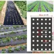 Grow Your Vegetables with Our High-Quality Black Plastic MulchFilm - Perfect for Greenhouses and