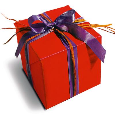Weihnachts-Überraschungs-Paket Image
