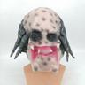 Movie Alien War Predator Mask Makeup Party Predator Mask Gloves Cosplay Props Halloween Dress Up