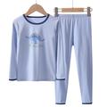Kids Boys 2 Pieces T-shirt Pants Pajama Set Long Sleeve White Blue Sky Blue Dinosaur Crewneck Spring Fall Fashion Home 7-13 Years