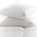 Scandia Home Lucerne Firm Down Sleep Support Pillow Down and Feathers/100% Cotton in White | 20 H x 36 W x 9 D in | Wayfair P943 K WHITE