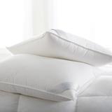 Scandia Home Bergen Medium Down-Free Sleep Support Pillow 100% Cotton | 20 H x 26 W x 6 D in | Wayfair P471 STD WHITE