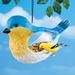 Arlmont & Co. Delightful Hand-Painted Fly Thru Bird-Shaped Birdfeeder in Blue | Wayfair 7B57A8A208B44F2391C66123C5C72156