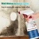 Mildew Cleaner Foam Spray Instant Mold Stain and Mould Mildew Stain Remover Foam Spray Cleaner Agent