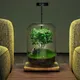 Vase en verre gris créatif HI Moss bouteille en verre incitée récipient hydroponique micro