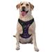 Daiia Multi-Colored Spidersdog Harness No-Pull Pet Harnessith 2 Leash Clips Cat Harness And Leash Set Step In Dog Harness For Large Dogs