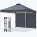 MASTERCANOPY Durable Ez Pop-up Canopy Tent with 1 Sidewall (10 x10 Dark Gray) 10x10 ft Dark Gray