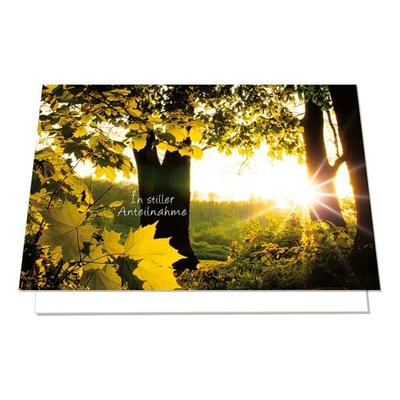LUMA KARTENEDITION Trauerkarte »In stiller Anteilnahme Wald«, 17.5x11.5 cm Image