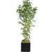 Artificial Faux Real Touch 78 Tall Natural Bamboo Tree And 14 Planter (VHX116204)