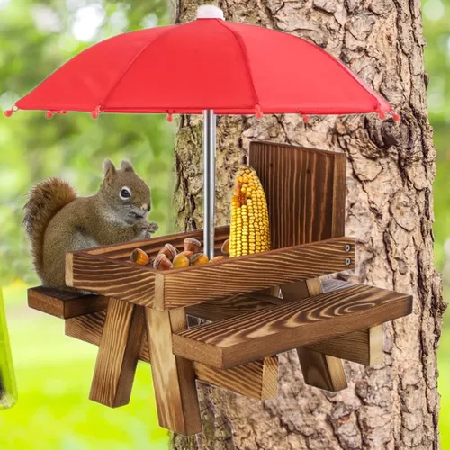 Eichhörnchen Picknick Tisch Eichhörnchen Feeder Mit Maiskolben Halter Natürliche Eichhörnchen Bank