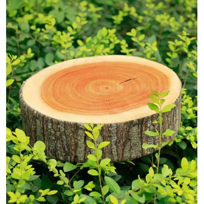 Niedliche runde Holzmaserung weichen Plüsch Stuhl Sitzkissen Kissen neue Mode Stumpf geformte Image