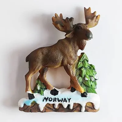Norwegen Reisen Kühlschrankmagnete Touristische Souvenirs Fotowand Magnetische Aufkleber Image