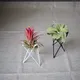 1 Stück kreative Pflanzen lron Klammer Innen luft Ananas grün erdlos Topf schwarz weiß Desktop Stent