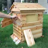 Selbst fließende Bienenstock Holz Bienen kasten automatische Biene mit 7 stücke Bienen nest Honig
