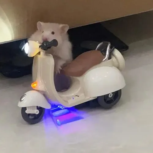 Hamster Spielzeug 360-Grad-Drehung Motorrad Beleuchtung elektrische Haustier Ratte Spielzeug Hamster