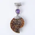 Neue Natürliche Ammoniten Conch Shell Halsketten Anhänger mit Runde Natürliche Stein Amethysten