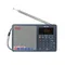 TECSUN ICR-110 FM/AM Radio TF Karte MP3 Player Recorder Radio Tragbare Radio Empfänger