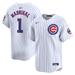 Men's Nike Nick Madrigal White Chicago Cubs Home Limited Player Jersey