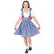 Dorothy World Book Day Costume - Large
