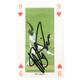 Signed Ottis Gibson Playing Card - West Indies Cricket Autograph