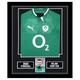 Signed Brian O'Driscoll Framed Display Shirt - Ireland Rugby Icon