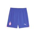 Puma Mens AC Milan Football Shorts - Blue - Size Large