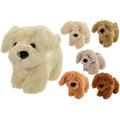 Plush Puppy Dog Soft Toy 22cm (One at Random)