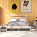 Queen Size Metal Platform Bed Frame with Four Drawers, Sockets, USB Ports, and Slat Support - Modern Style, Easy Assembly