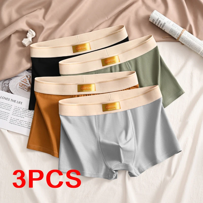 3PCS Luxus Männer Unterhose Mann Baumwolle Atmungsaktiv Komfortable Boxer Verkauf Shorts Schlüpfer der Männer Plus Größe Höschen Unterwäsche Geschenk Image