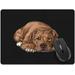 Extra Large (X-Large) Size Non-Slip Rectangle Mousepad American Pit Bull Terrier Dog Lying Down Looking Up Mouse Pad For Home Office And Gaming Desk