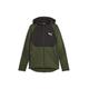 Puma Mens EVOSTRIPE Full-Zip Hoodie - Green - Size X-Small