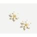 J. Crew Jewelry | J. Crew Freshwater Rice Pearl Petal Semi Precious Flower Stud Earrings New | Color: Gold/White | Size: Os