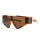 HPIRME Steampunk Sunglasses Women For Men Vintage Punk Sun Glasses Riding Big Frame Sport Goggle UV400,Brown Brown,one size