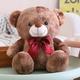 EacTEL kawaii rainbow teddy bear toy stuffed animal doll pillow bow bear birthday gift for girls 45cm 4