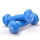 Dumbells Glossy Plastic Dipped Dumbbells For Men And Women Fitness Training Equipment Home Arm Lifting Arm Strength Dumbell Set (Color : Blue, Size : 8kg)