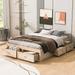 Red Barrel Studio® Alfreida Platform Bed in White/Brown | 16 H x 62.4 W x 82 D in | Wayfair 829C1E06B90648B0B3014B20A5A41B80