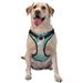 Coaee Teal Mama Llama Dog Harness&Pet Leash Harness Adjustable Dog Vest Harness For Training Hunting Walking Outdoor Walking- Medium