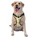 Coaee Watercolor Bee Honey Honeycomb Bee Dog Harness&Pet Leash Harness Adjustable Dog Vest Harness For Training Hunting Walking Outdoor Walking- X-Large