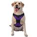Coaee Purple Buffalo Plaid Dog Harness&Pet Leash Harness Adjustable Dog Vest Harness For Training Hunting Walking Outdoor Walking- Small