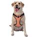 Coaee Orange Gingham Dog Harness&Pet Leash Harness Adjustable Dog Vest Harness For Training Hunting Walking Outdoor Walking- Small