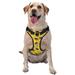 Coaee Duck With Star Sunglasses Dog Harness&Pet Leash Harness Adjustable Dog Vest Harness For Training Hunting Walking Outdoor Walking- X-Large