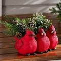 Bird Shaped Planter Resin Red Birds Plant Pot Creative Three Little Birds Flowerpot Red Birds Triplets Floral Succulent Plant Container for Indoor Home Decor(Red Bird Planter)