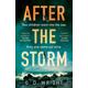 After the Storm, Crime & Thriller, Paperback, G. D. Wright