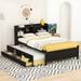 Espresso Wooden Bed w/Trundle&Drawers, LED Light, Charging Ports,Full